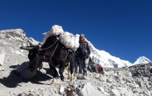 Dragnag - Cho La (5350 m) - Dzongla (4840 m)