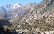 Direction Thorong Pedi à travers les pâturages (4500m)