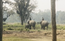 Parc de Chitwan