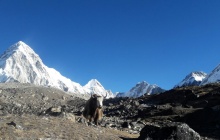 Lobuche - Camp de Base de l'Everest (5300 m) - Gorakshep (5164 m)