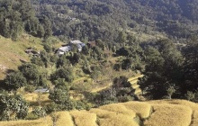 Samthang (2300m) - Chhatedhunga (1500m)