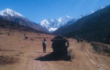 Langtang - Kyanjin Gompa (3900 m)