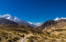 Chusang - Chélé (3100 m) - Col de Taklam (3625 m) - Col Dajong la (3660 m) - Samar (3600 m)