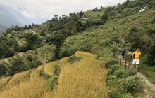 Jhinu Danda - Bamboo (2325 m)
