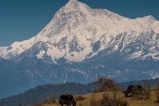 Makalu et Kanchenjunga