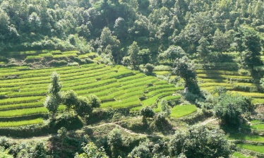 Kanchanjangha,  Makalu and Limbus villages